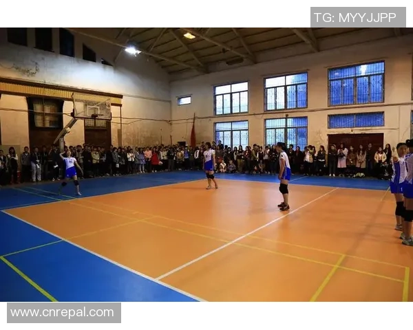 武汉排球队选拔赛特别报道:从默默无闻到耀眼之星的奋斗历程