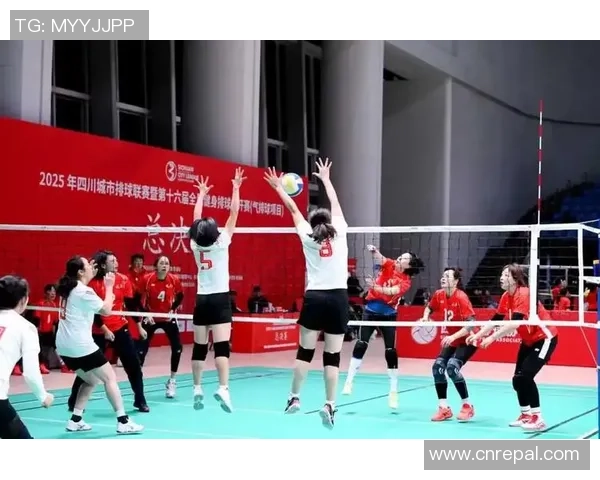 南京排球队荣登全国排球团队协作排行榜第二名展现卓越团队精神